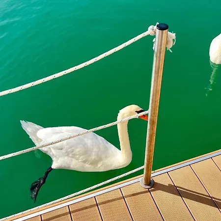 Ξενοδοχείο Marina Uno