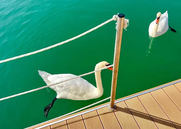 Отель Marina Uno